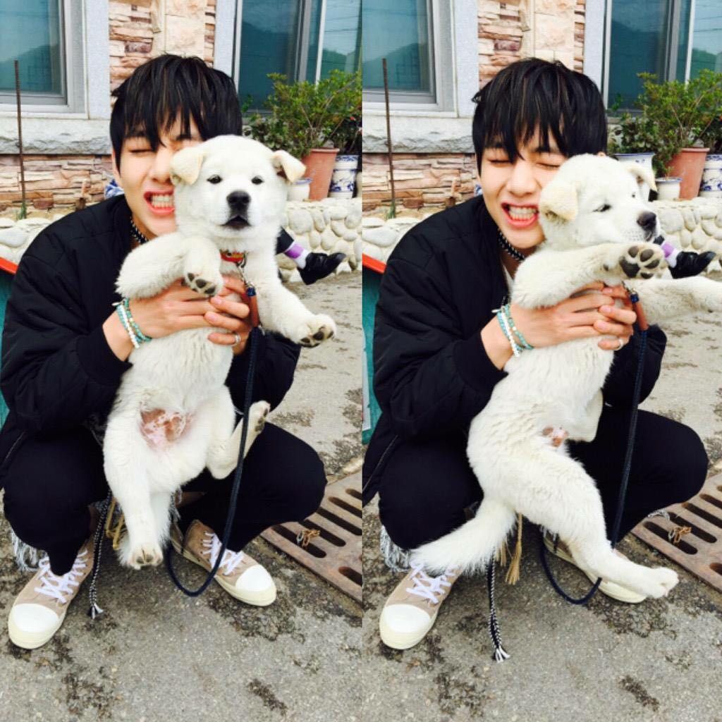 Need cheering up? Here are some cute pics of BTS and their dogs – Film