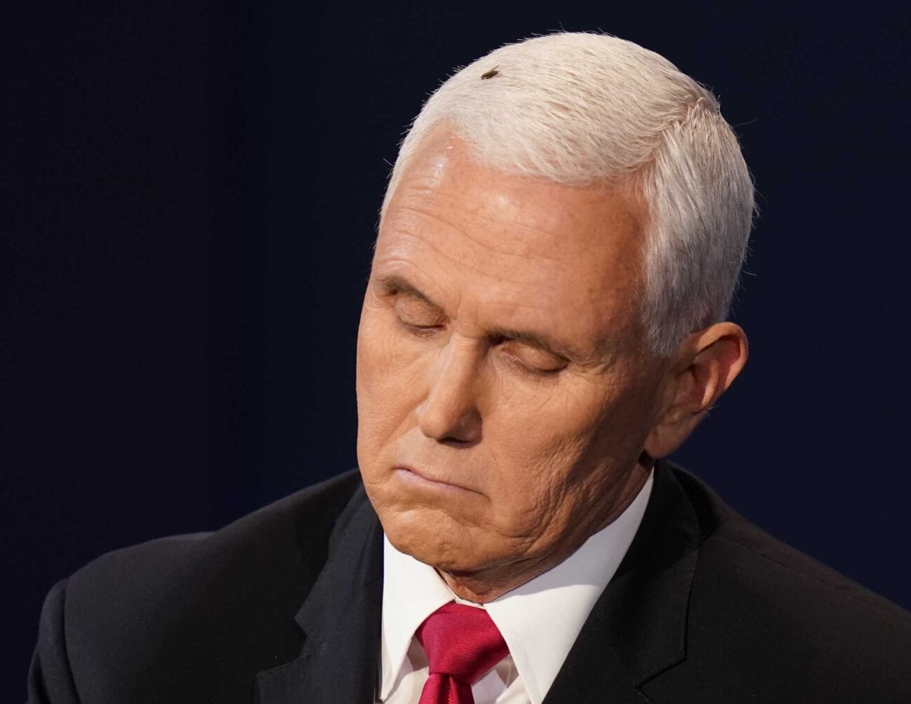 The fly on Mike Pence's head won the VP debate: All the best memes – Film  Daily