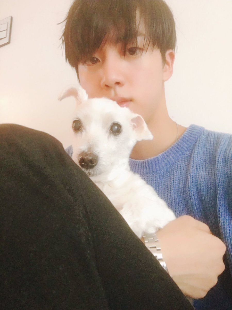 Los miembros de BTS aman a los perros: las fotos más lindas de ellos y