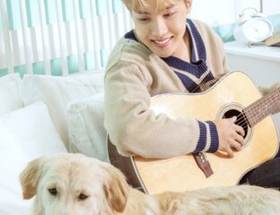 BTS ARMY, do you everything about their dogs? Read up and take notes on all the cute, wonderful, fluffy facts about BTS's furry friends.
