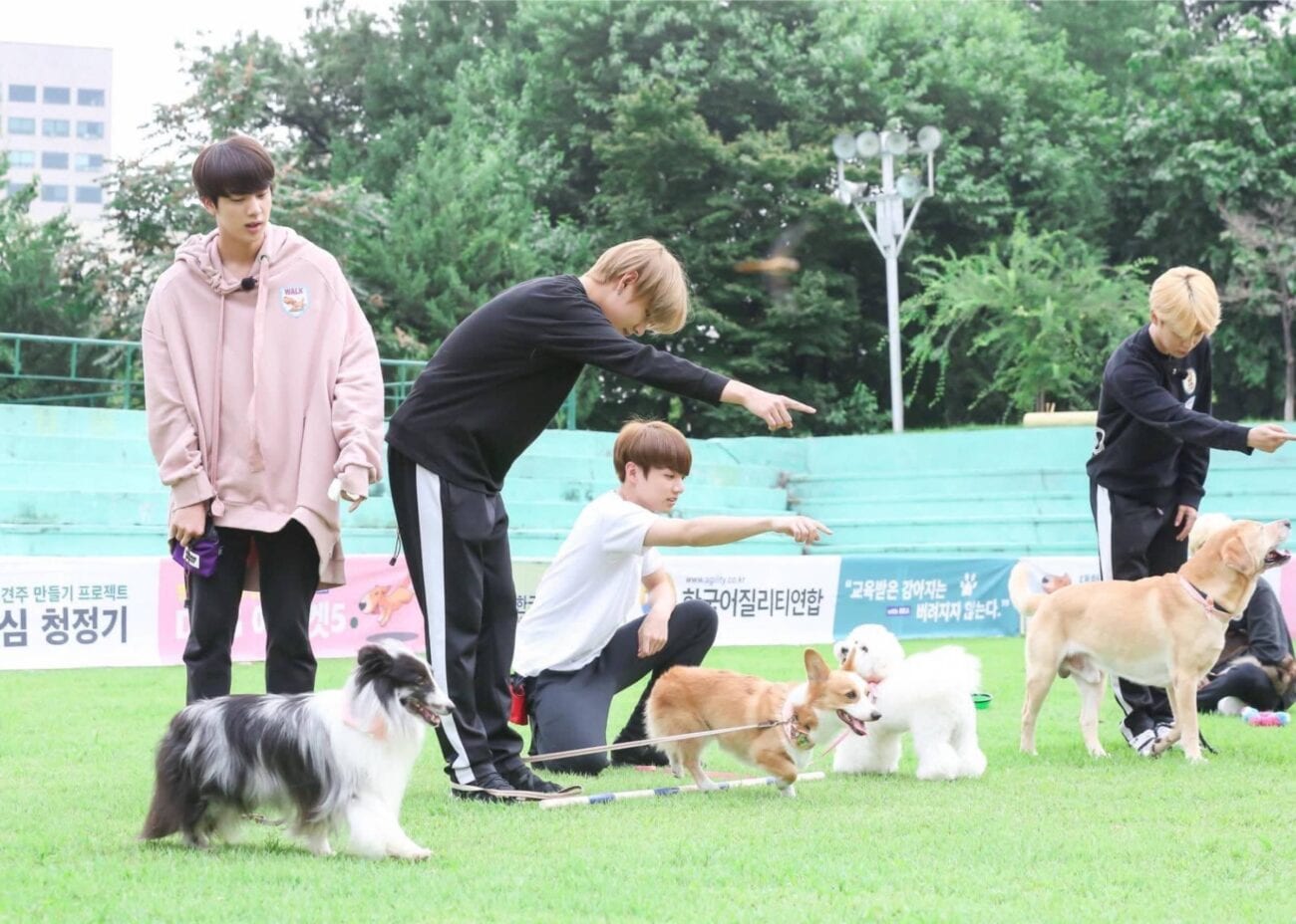 Sólo hay una cosa más linda que los miembros de BTS: sus perros. Checa todas las fotos de ellos con sus mascotas.