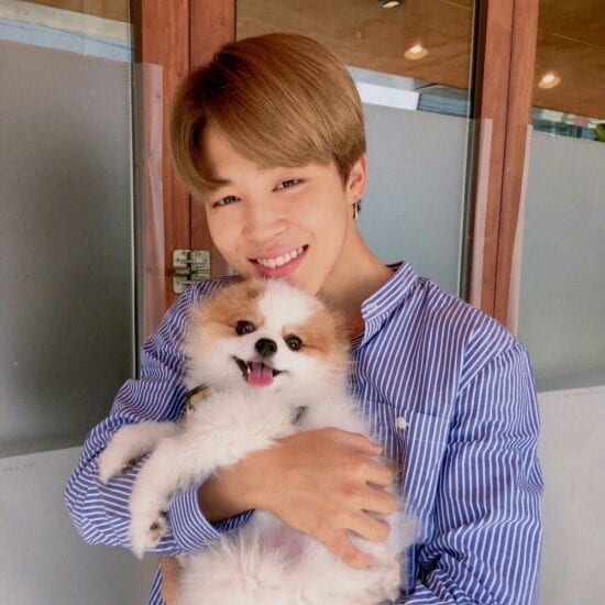 Here are some adorable photos of BTS with dogs – for research – Film Daily
