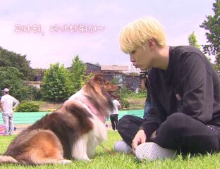 What's cuter than all the members of BTS? Well, BTS in pictures of their dogs, of course! Here are some of our favorites.