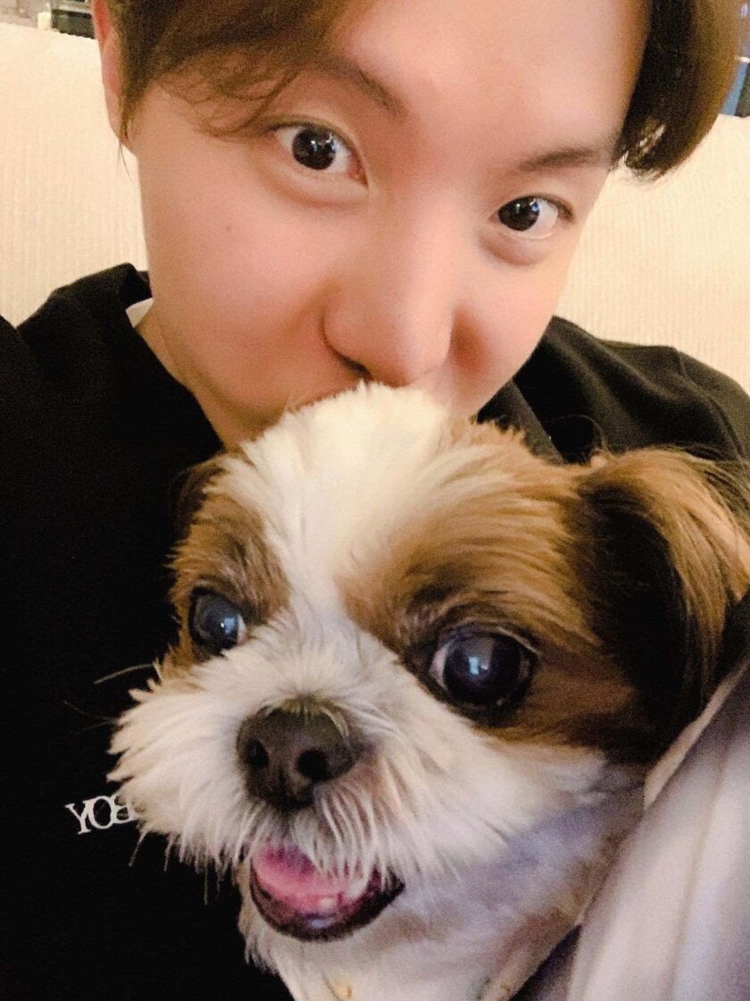 Get to know the extra members of BTS: All their adorable dogs – Film Daily