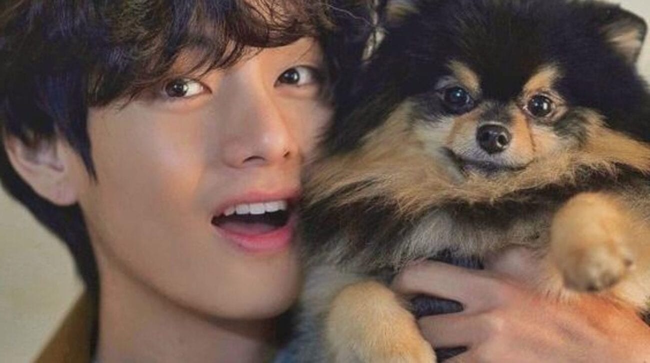 BTS is filled with cute boys. However, did you know they also own some very cute dogs? Here are all the BTS pets you need to see.