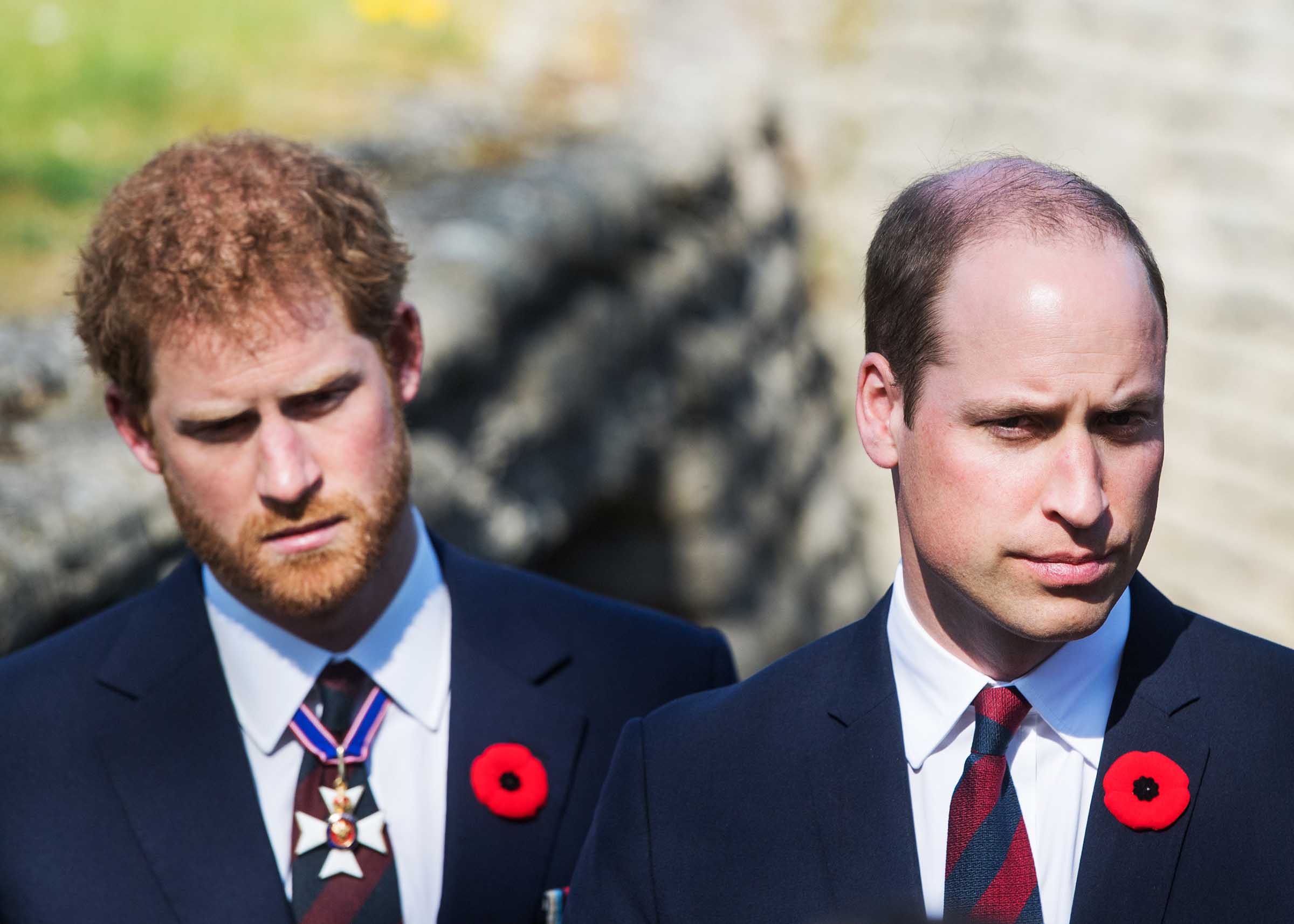 Is Prince William sporting a shade of green at Prince Harry's freedom? Dive into this royal drama and explore the whispers of envy hidden in the House of Windsor.