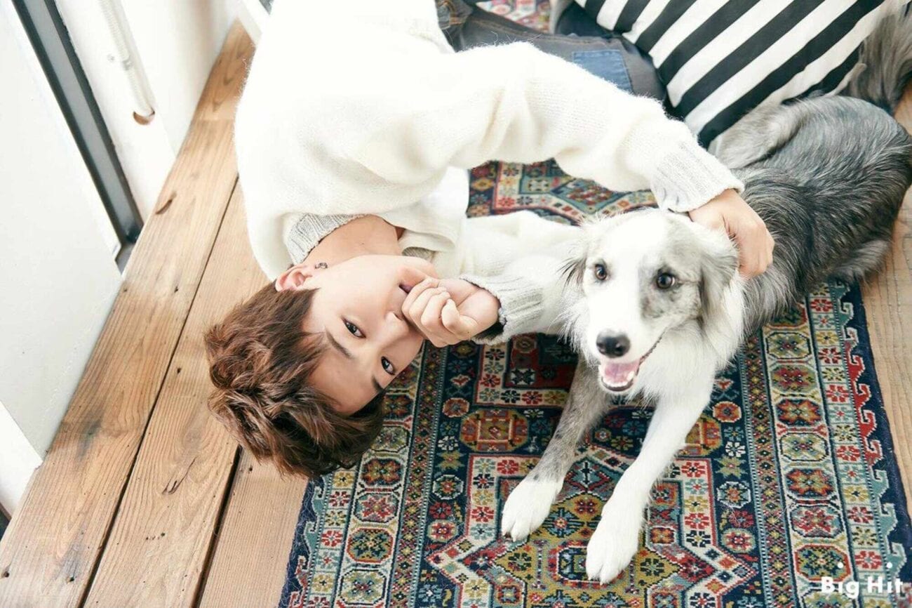 Jimin is already so adorable – adding animals to the mix is cuteness overload. Check out these pics of Jimin with furry friends.