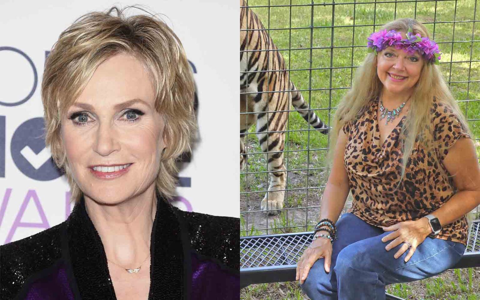 Carole Baskin just revealed that she's bisexual – and Jane Lynch seems excited about it. Here are memes reacting to the weird thirsting.