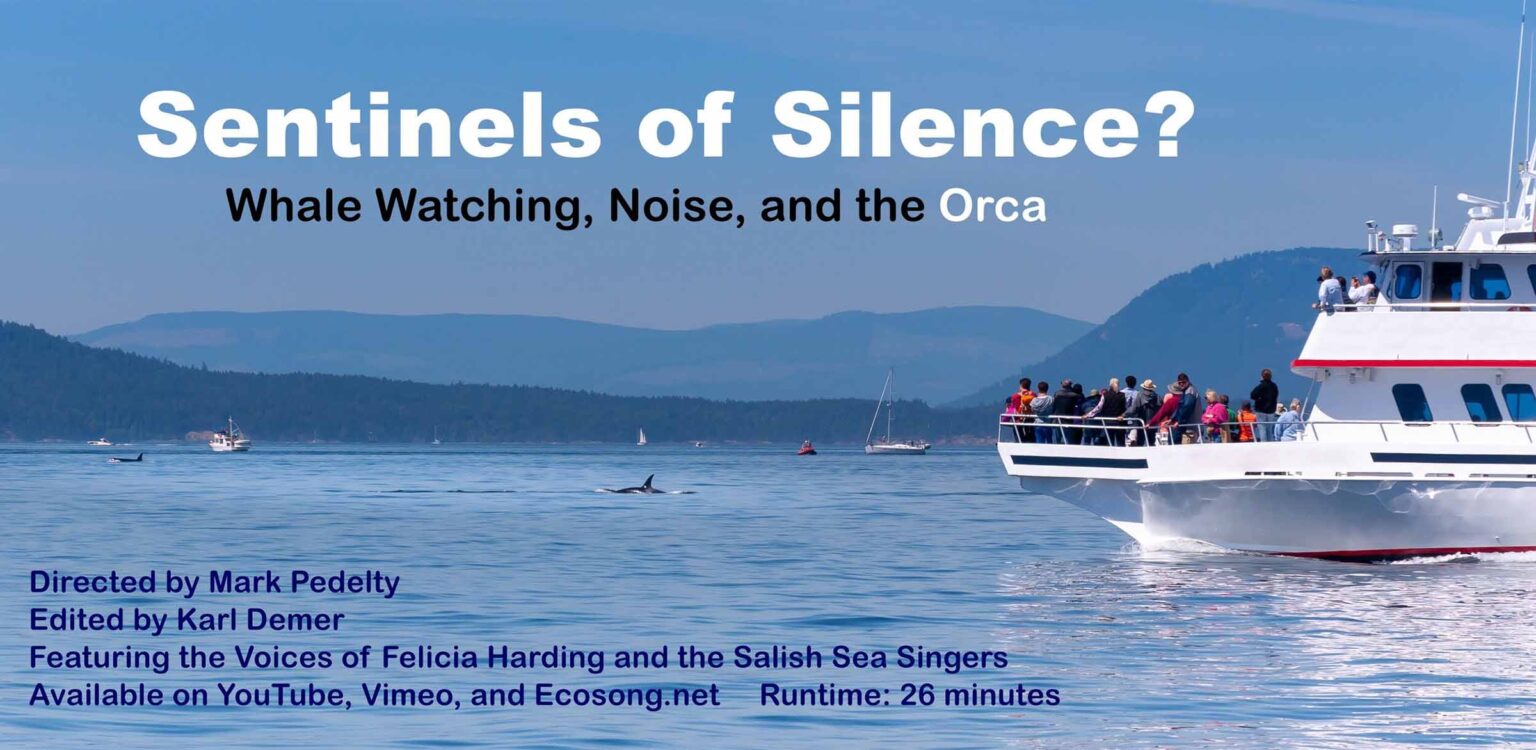 Mark Pedelty addresses environmental controversies through media. His latest doc 'Sentinels of Silence' follows the trend taking on whale watching.