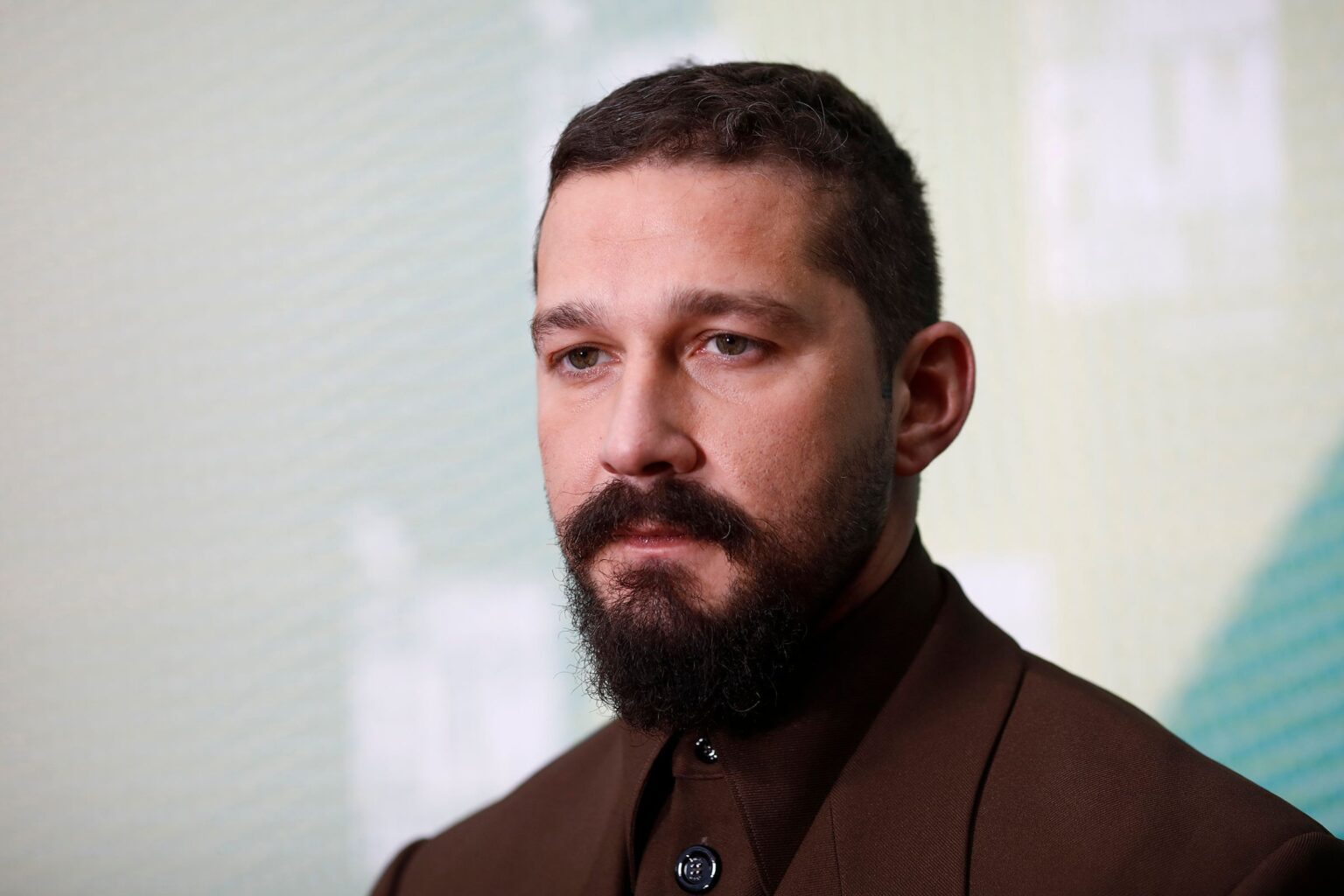 Shia LaBeouf has been arrested more than once, here's why he's had a run-in with police once again.