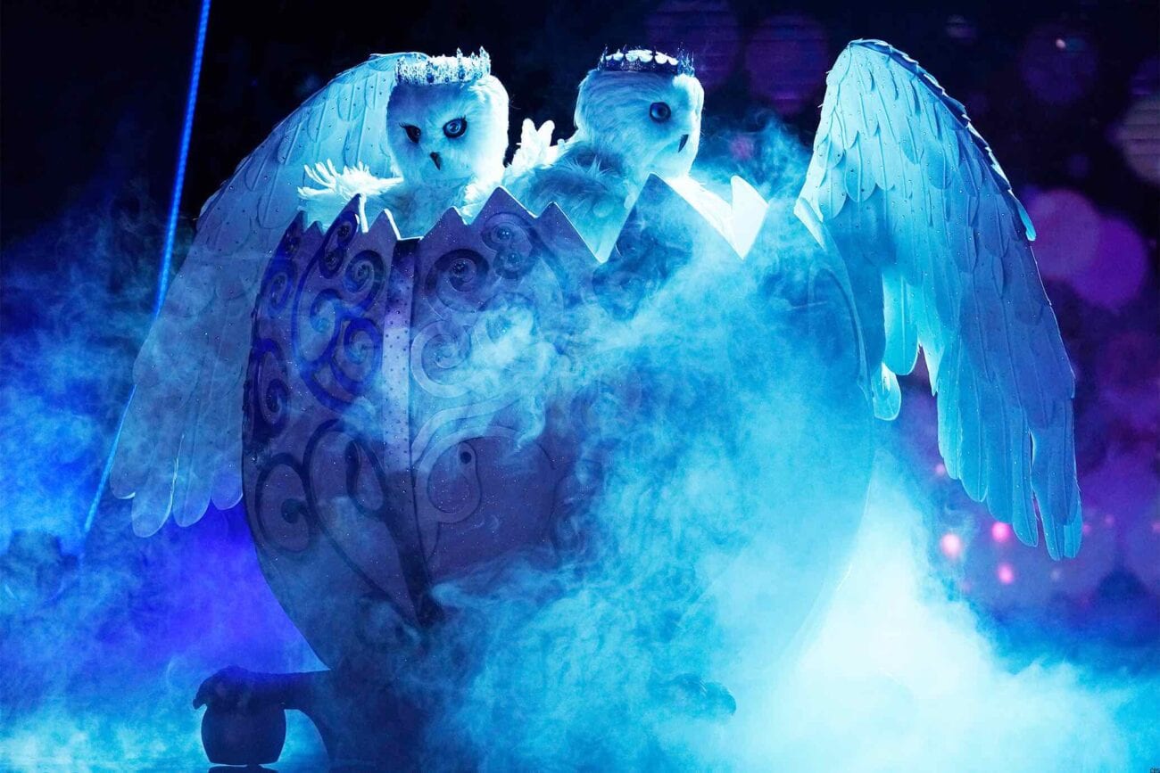 The Snow Owls on 'The Masked Singer' are a surprising first for the show and people are dying to know who the duo are. These are our guesses.