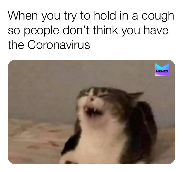 Can We Laugh About Coronavirus Yet The Best Covid 19 Memes Film Daily