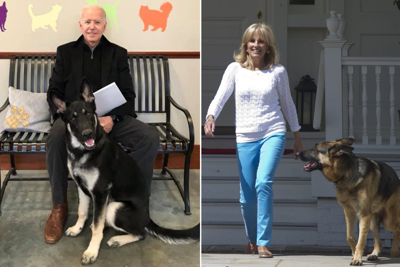 The White House may get to see two good dogs again. Will Joe Biden bring his dogs? Here's what you need to know.