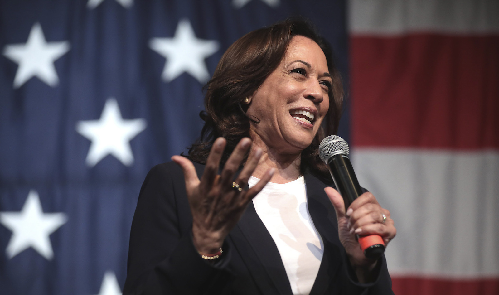 How rich is Kamala Harris? Let's take a look at her net worth Film Daily