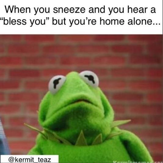 Kermit the Frog is easily the most popular Muppet, which is why he's the best Muppet to use for meme material. Check out these Kermit memes.