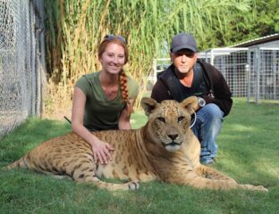 Is Jeff Lowe making Joe Exotic's 'Tiger King ' animal park an even bigger mess? What's behind the Department of Justice's lawsuit?