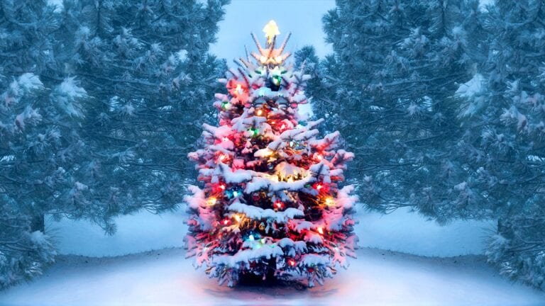 ¿Estás harto de ver árboles de Navidad perfectos? Checa estas decoraciones navideñas desastrosas que te sacarán una sonrisa.