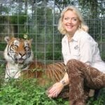 ¿Otro accidente en los zoológicos de la serie ‘Tiger King’? Entérate de los detalles sobre el percance en Big Cat Rescue.