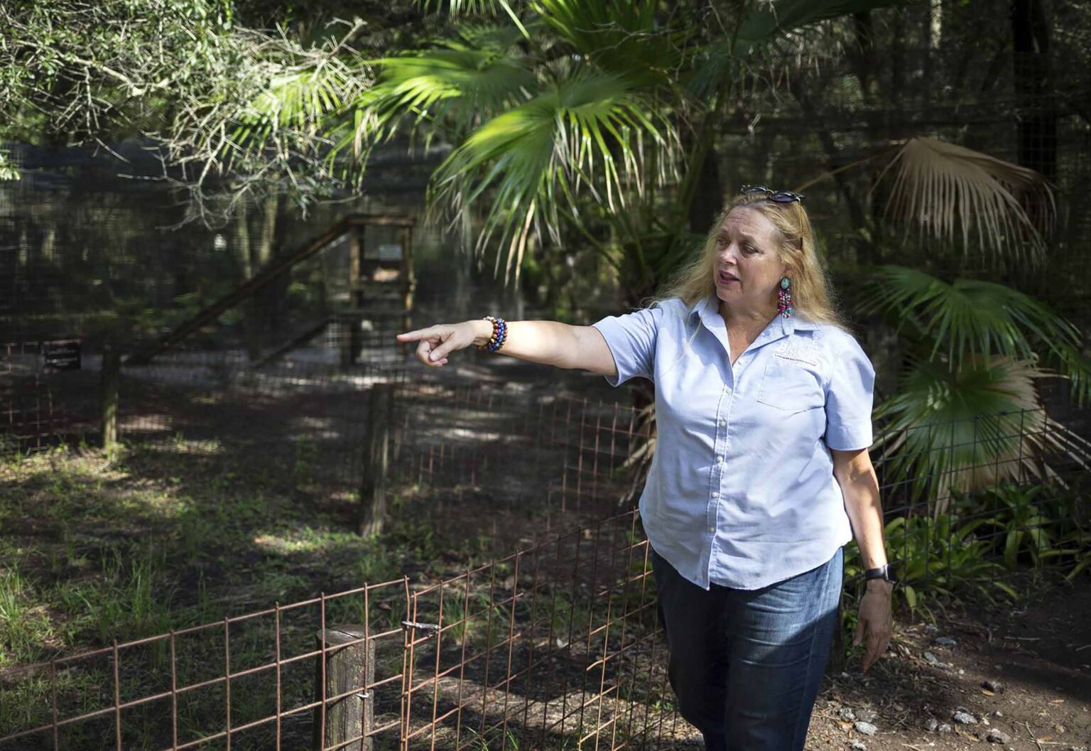 A Big Cat Rescue Tampa volunteer was mauled by a tiger as she stuck her hand in the cage. Is the wildlife sanctuary dangerous?