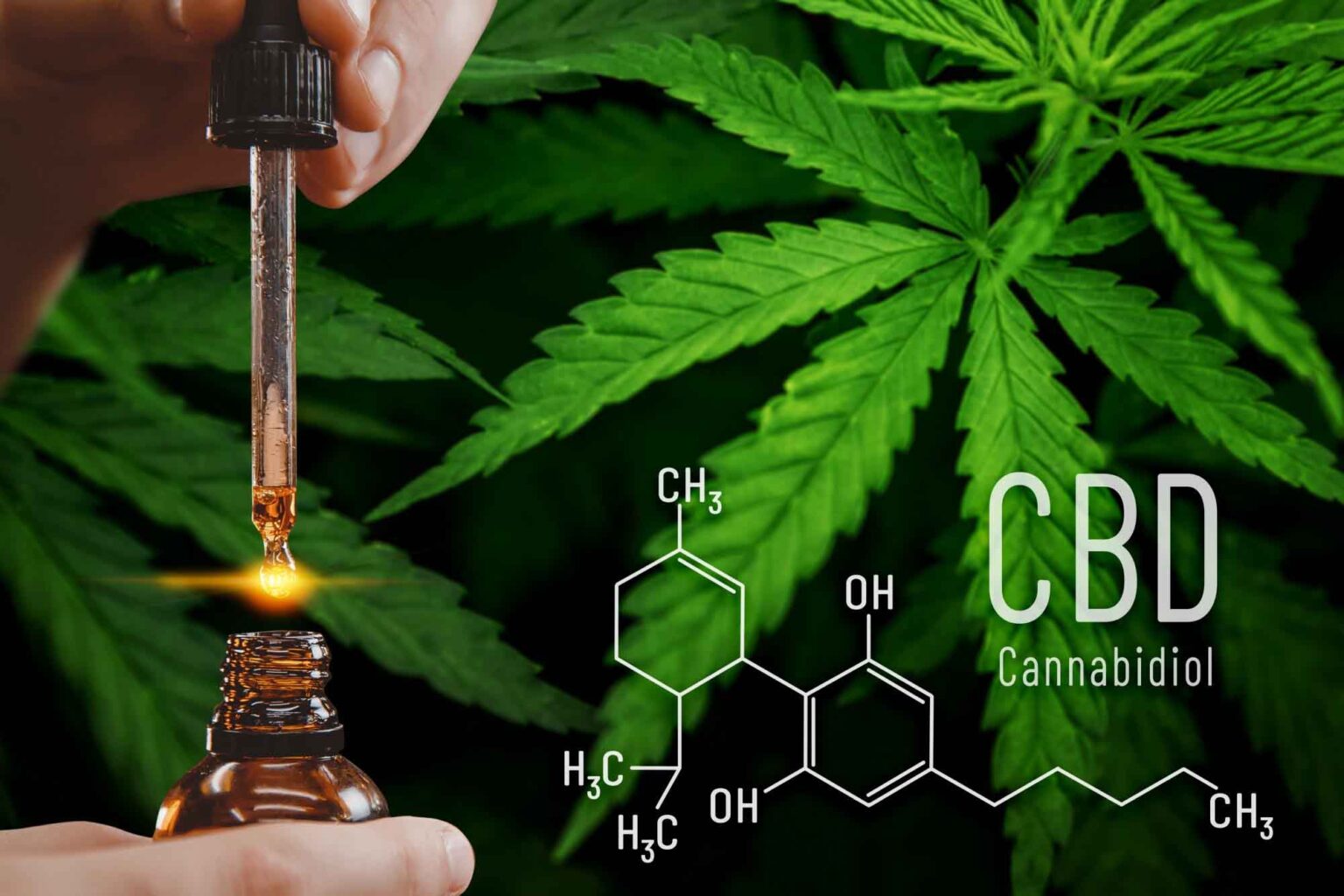 Wondering what the benefits of CBD are and if it's right for you? Here's what you need to know about the substance.