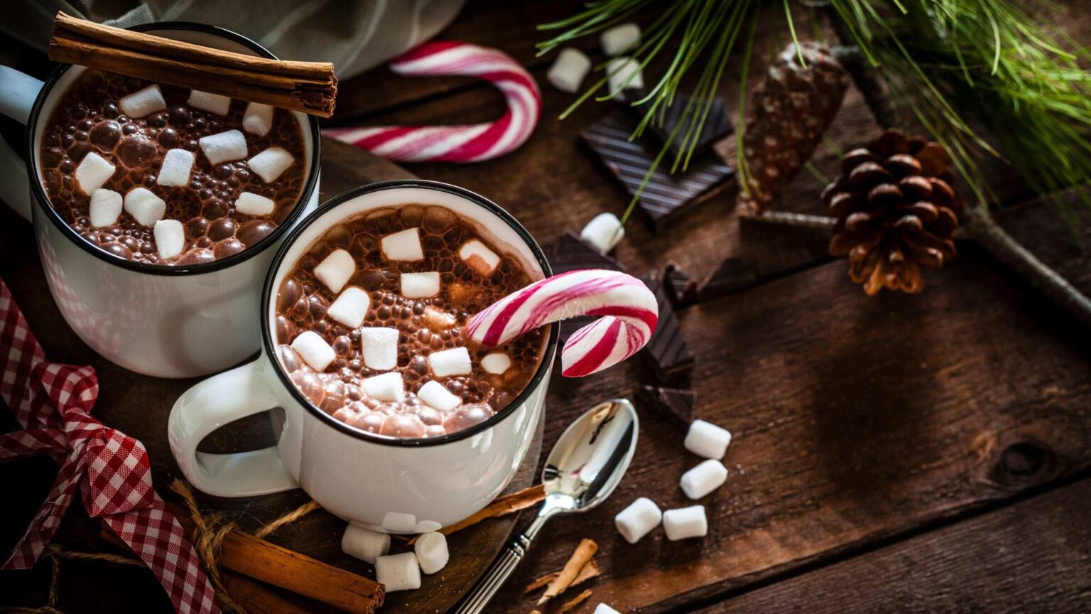 Need a cozy pick-me-up after facing winter's chill? These hot chocolate recipes put a unique twist on the traditional drink.