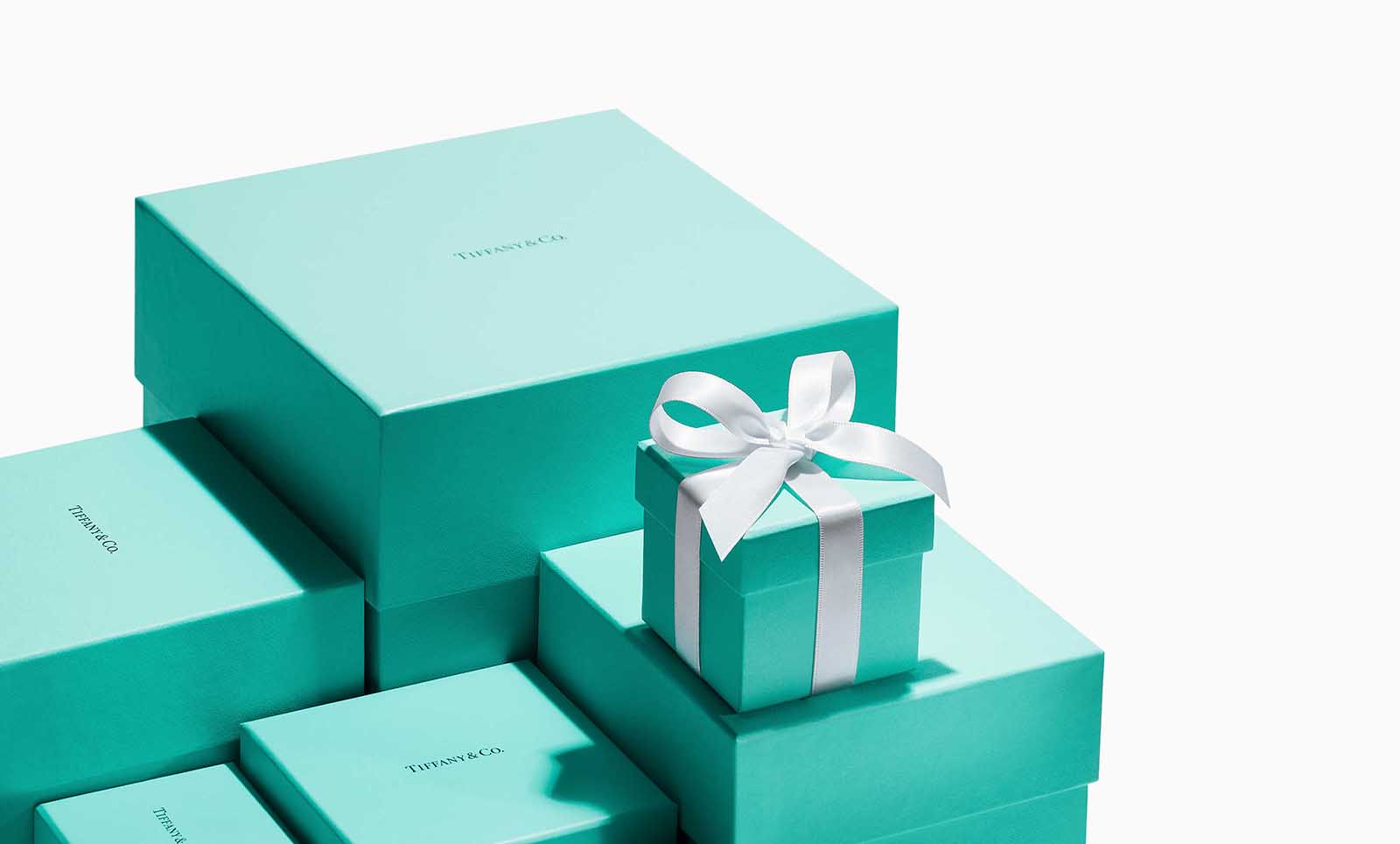 LVMH has some of the biggest fashion brands under its belt. But are they adding Tiffany and Co? See the new deal between the two companies.
