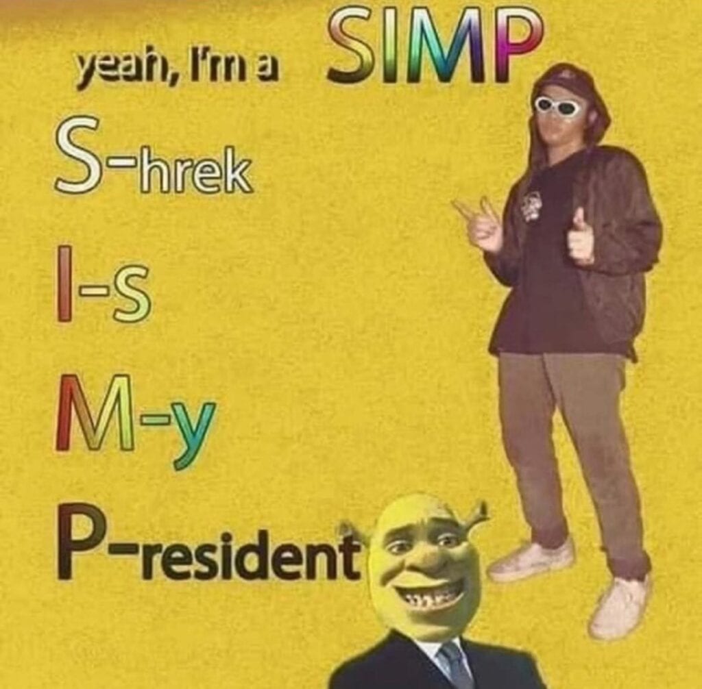 What Does Simp Mean Fadvector