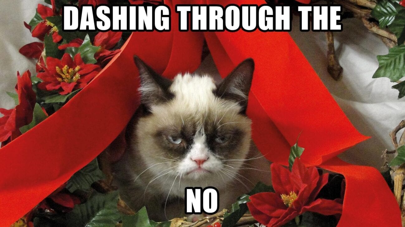 Wish your family a Merry Christmas with these topnotch holiday memes