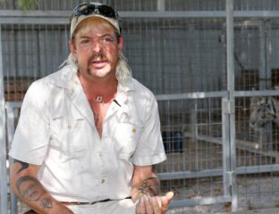 Could Joe Exotic's efforts to get a presidential pardon be successful? Find out what the star of the 'Tiger King' documentary and his team are up to.