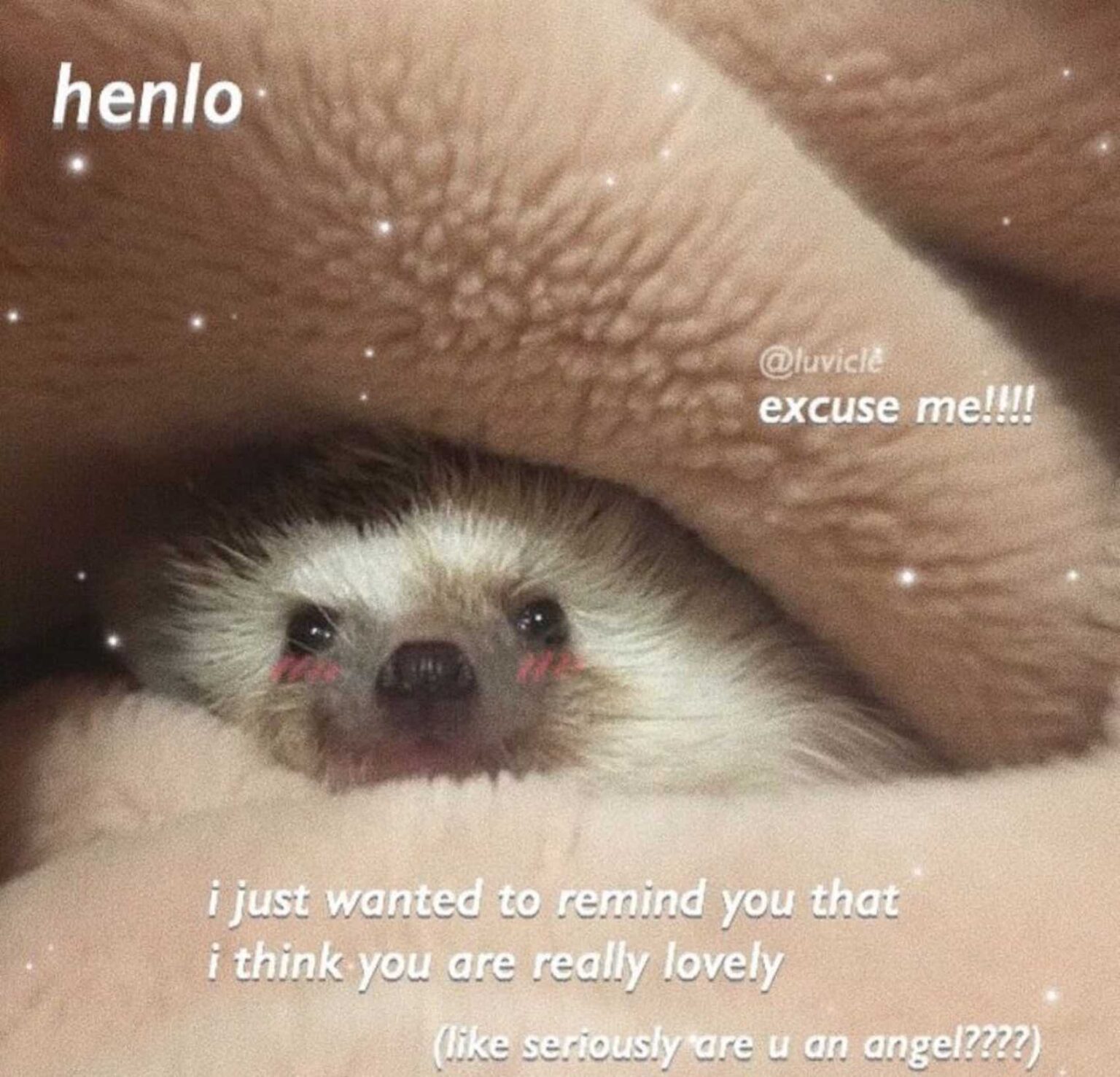 Flirty memes are a great way to subtly (and humorously) let your partner know you care about them. Send these to your significant other.