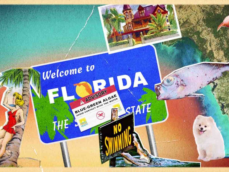 Florida Man's year in review: The strangest headlines from 2020 – Film ...
