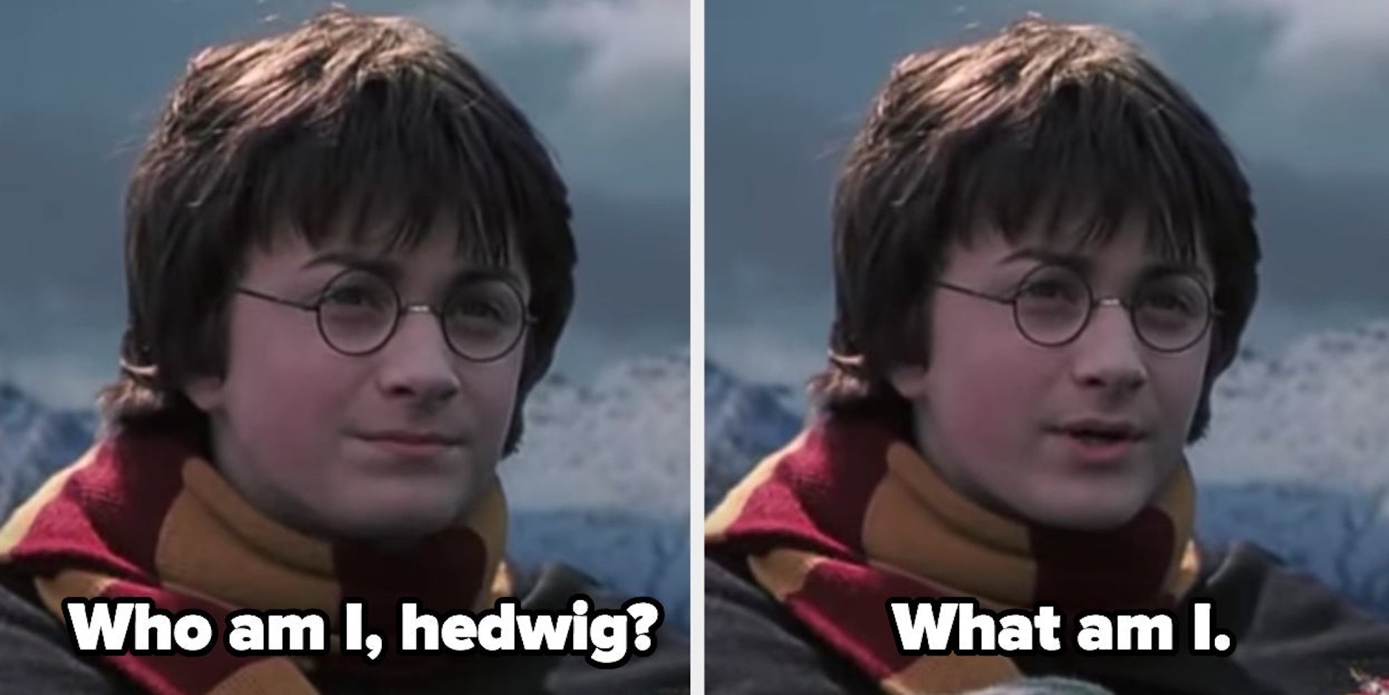 Harry Potter Memes Funny I Don T Like Harry Potter Insanely Funny Harry Potter Memes Will