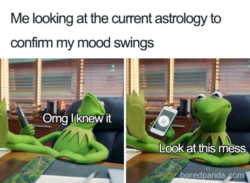 We all know our zodiac sign, but do you embody the characteristics of it? Check out these memes and see if you fit your sign.
