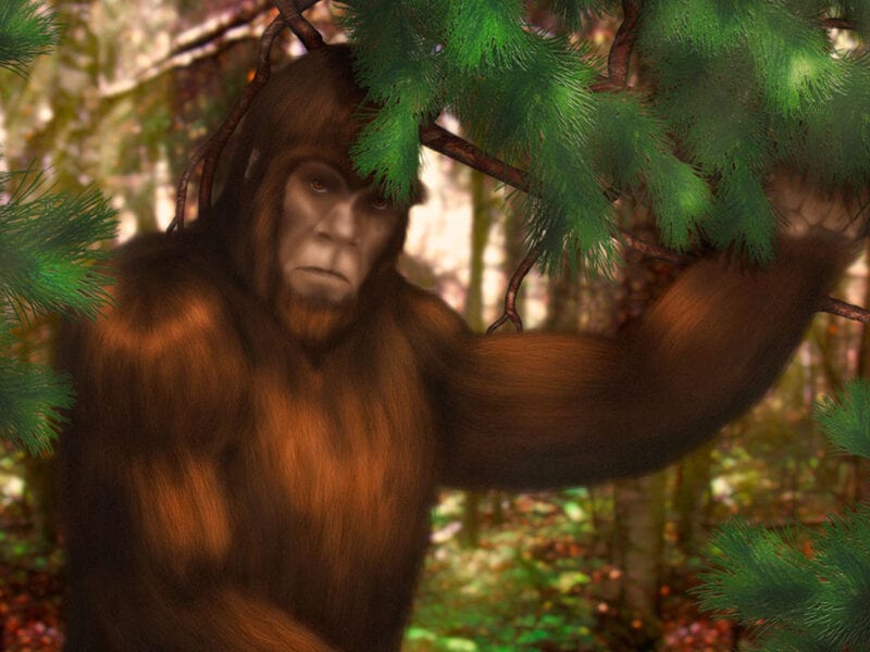 Bigfoot is real, and apparently, Oklahoma is rolling out a hunting license for the infamous cryptid. Delve into this strange tale here.