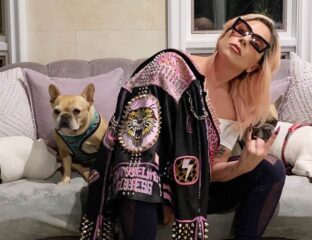 Lady Gaga has a net worth of millions of dollars. Is that enough to get her stolen puppies back? Learn all about the recent dog-napping scandal!