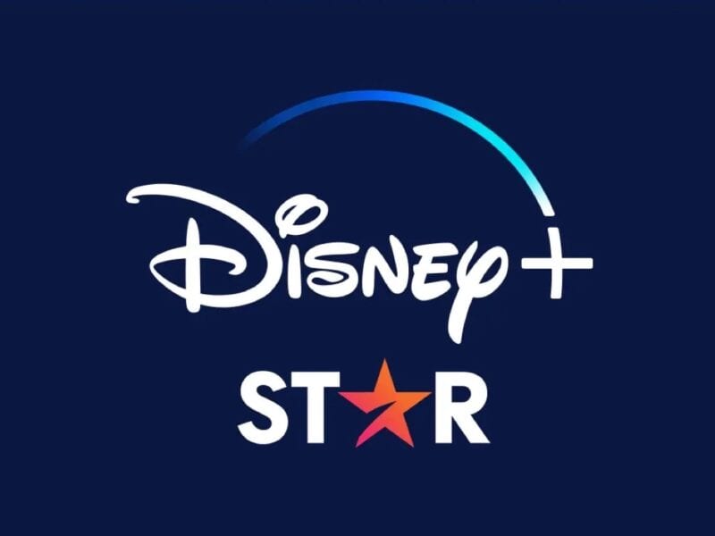 Disney has officially released an add-on subscription called Star that offers more adult-oriented content. Check out what you can binge now.
