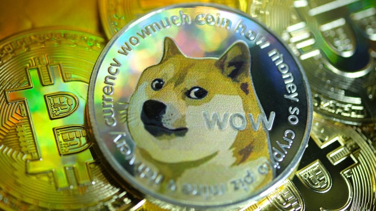 Elon Musk bought dogecoin for his son, sparking a 16% surge in a little over an hour. Check out the new price of meme cryptocurrency.