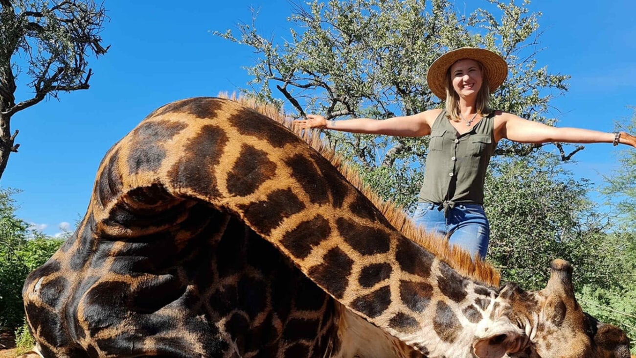 Would you like a controversial gift? Well this trophy hunter loves her Valentine's Day present. Here's why the South African hunter is only receiving backlash.
