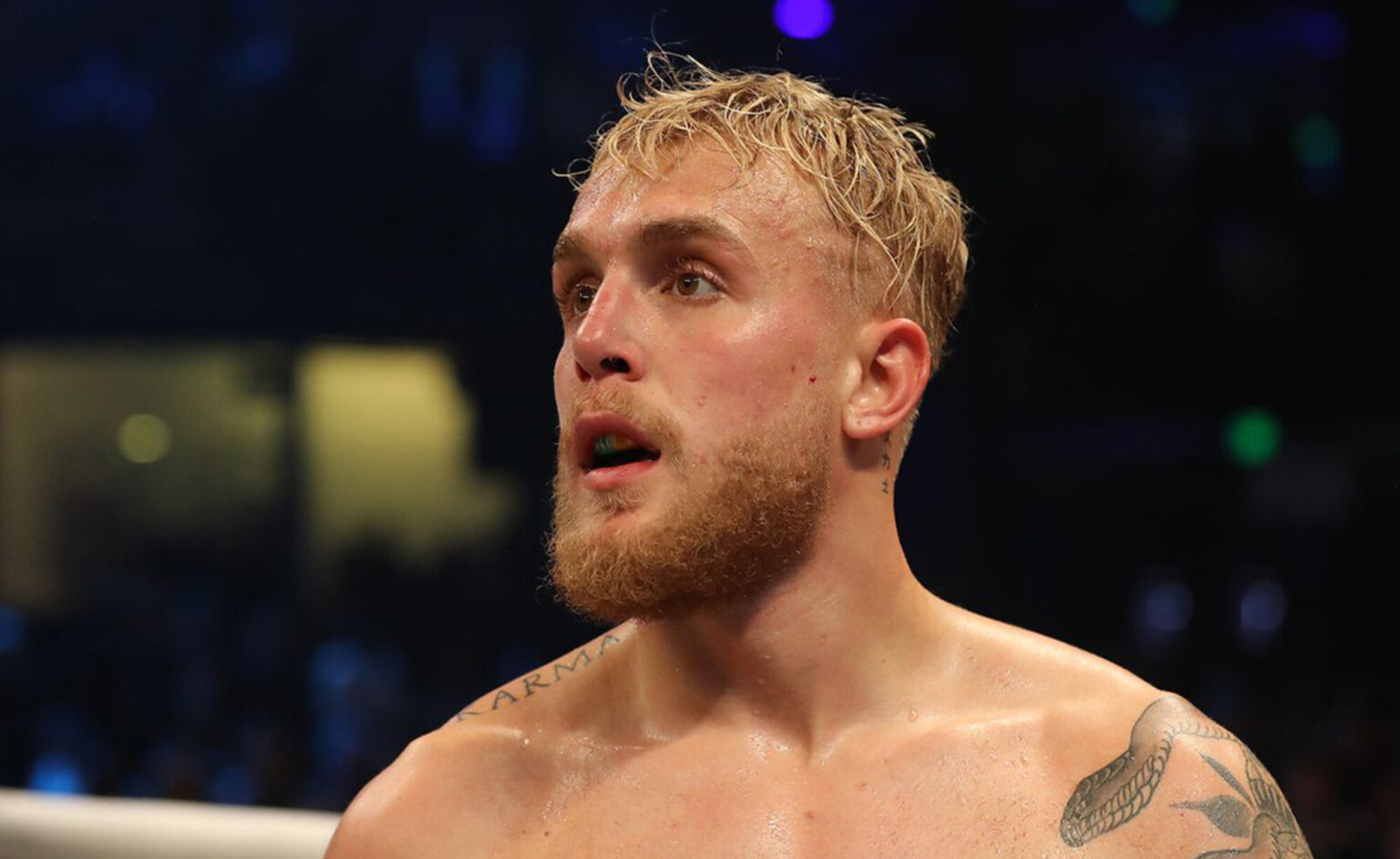 Are we in the midst of UFC's next great fighter? Jake Paul is ready to dive right into his boxing career. Here's everything we know about Jake Paul.