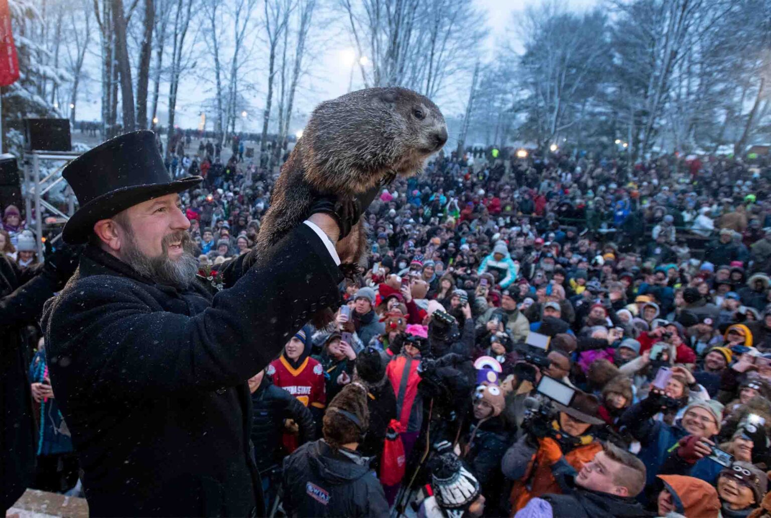 It's Groundhog day! In order to celebrate this funny holiday we've compiled the best Punxsutawney Phil memes.