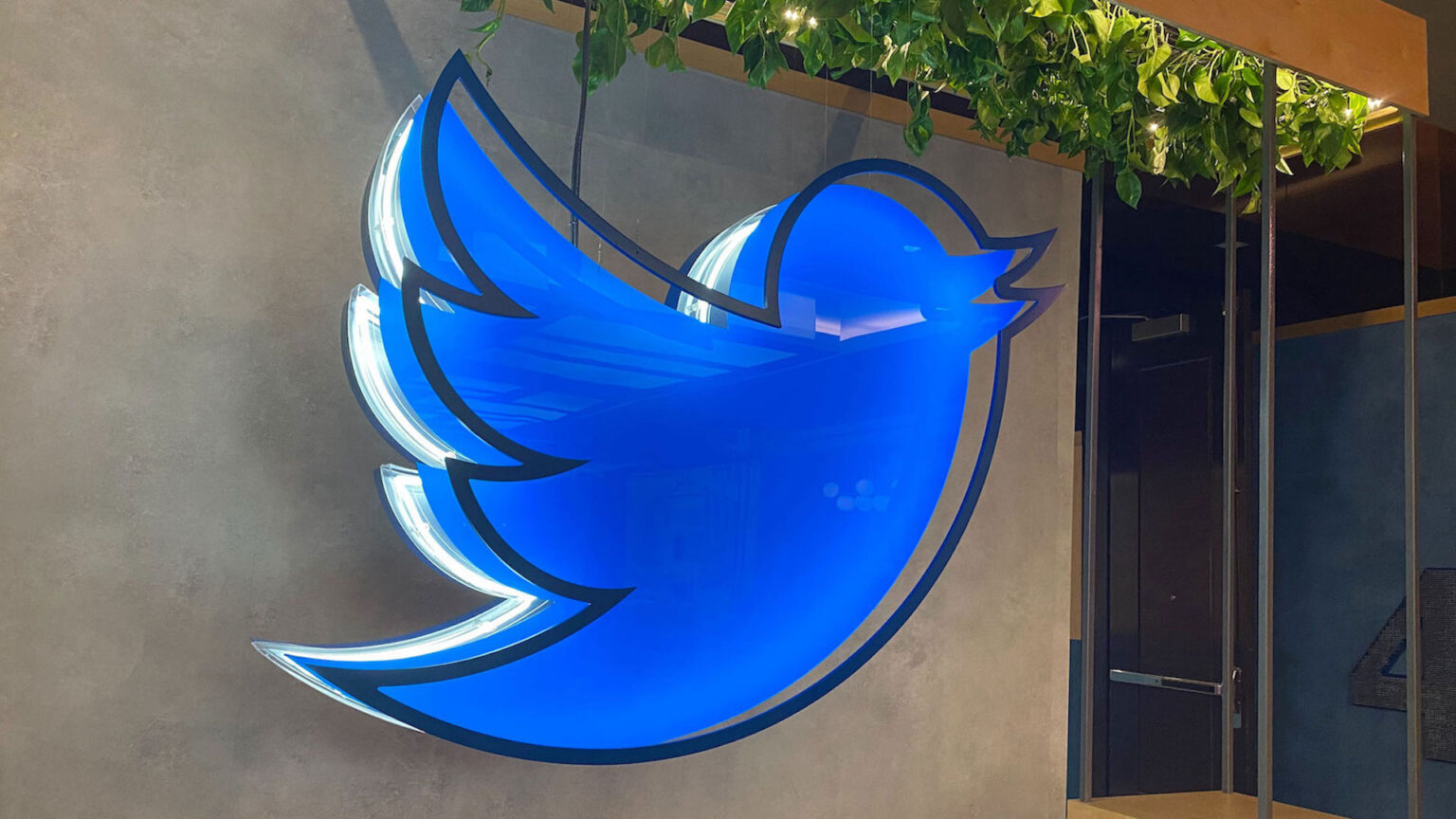 Twitter is exploring subscription fees and an ad-free experience. What does it mean for its app users? Read all the new detail here.