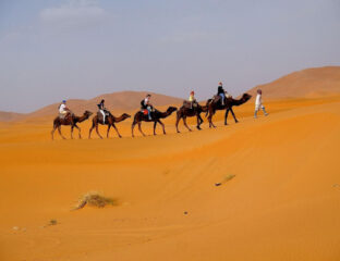 Do you have the travel bug? Why not go to Morocco? Check out the ten must-see places in this diverse, beautiful country.