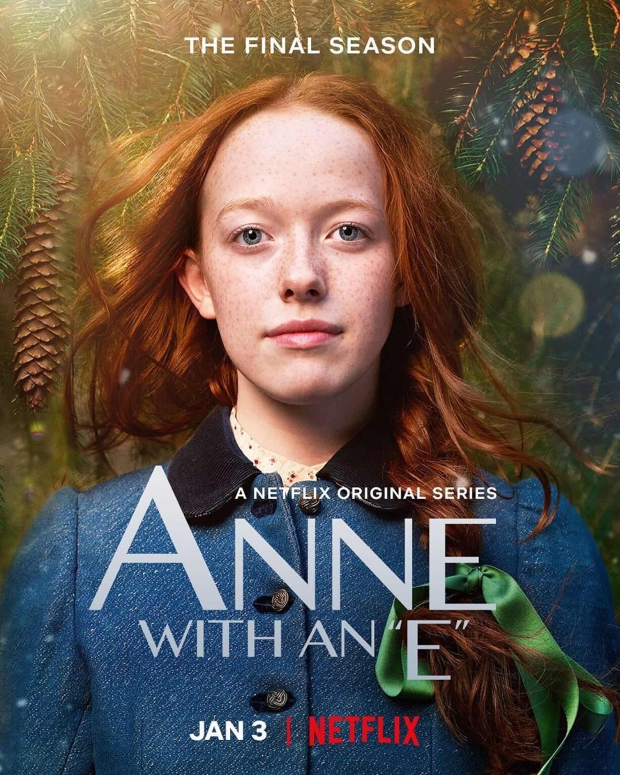 Do you also agree with us that the cast of 'Anne with an E' was robbed of more seasons? If you also miss the cast, find out here what they're up to now.
