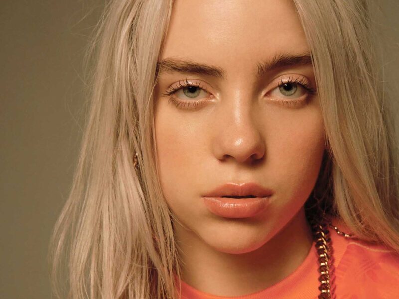 Ouf!  18+  Vérités sur  Billie Eilish Blonde Streaks! Anyway, you know that billie eilish dyed her hair blonde too.