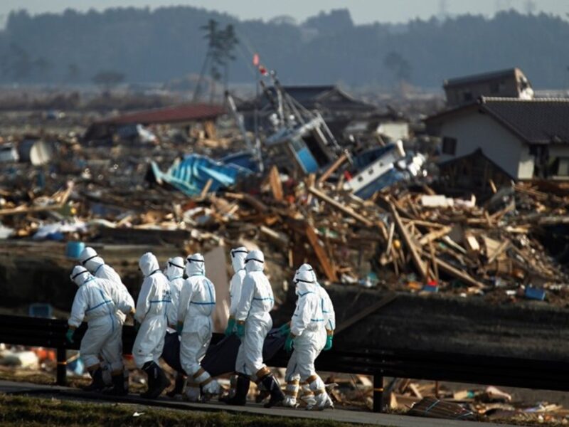 Ten years after the devastating Fukushima disaster, the Japanese government had been putting billions into rebuilding the area. Read all about it here.