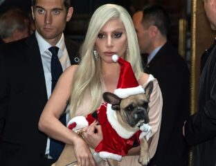 The dog walker of Lady Gaga is finally speaking out about his side of the story. Read all about the traumatic & frightening situation here.
