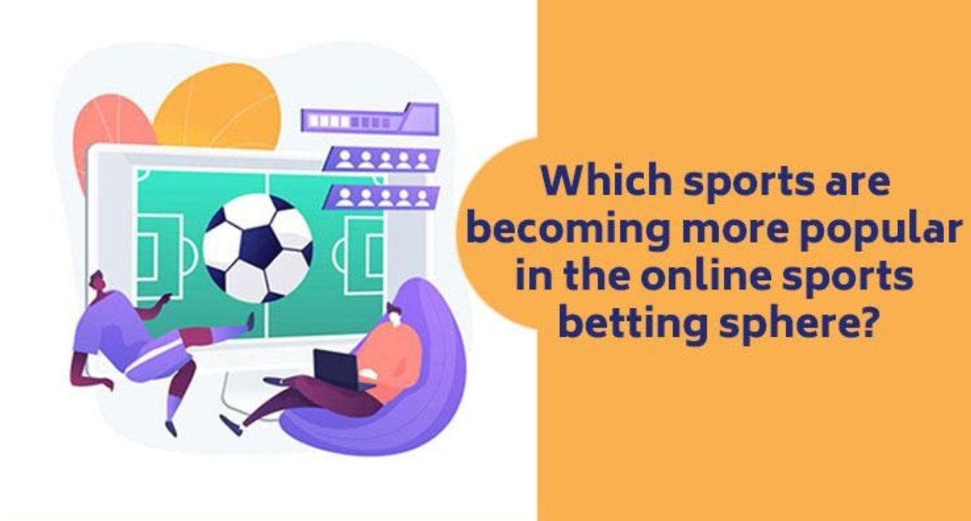 Online sports betting is more popular then ever. Discover which sports are the most popular when it comes to betting.