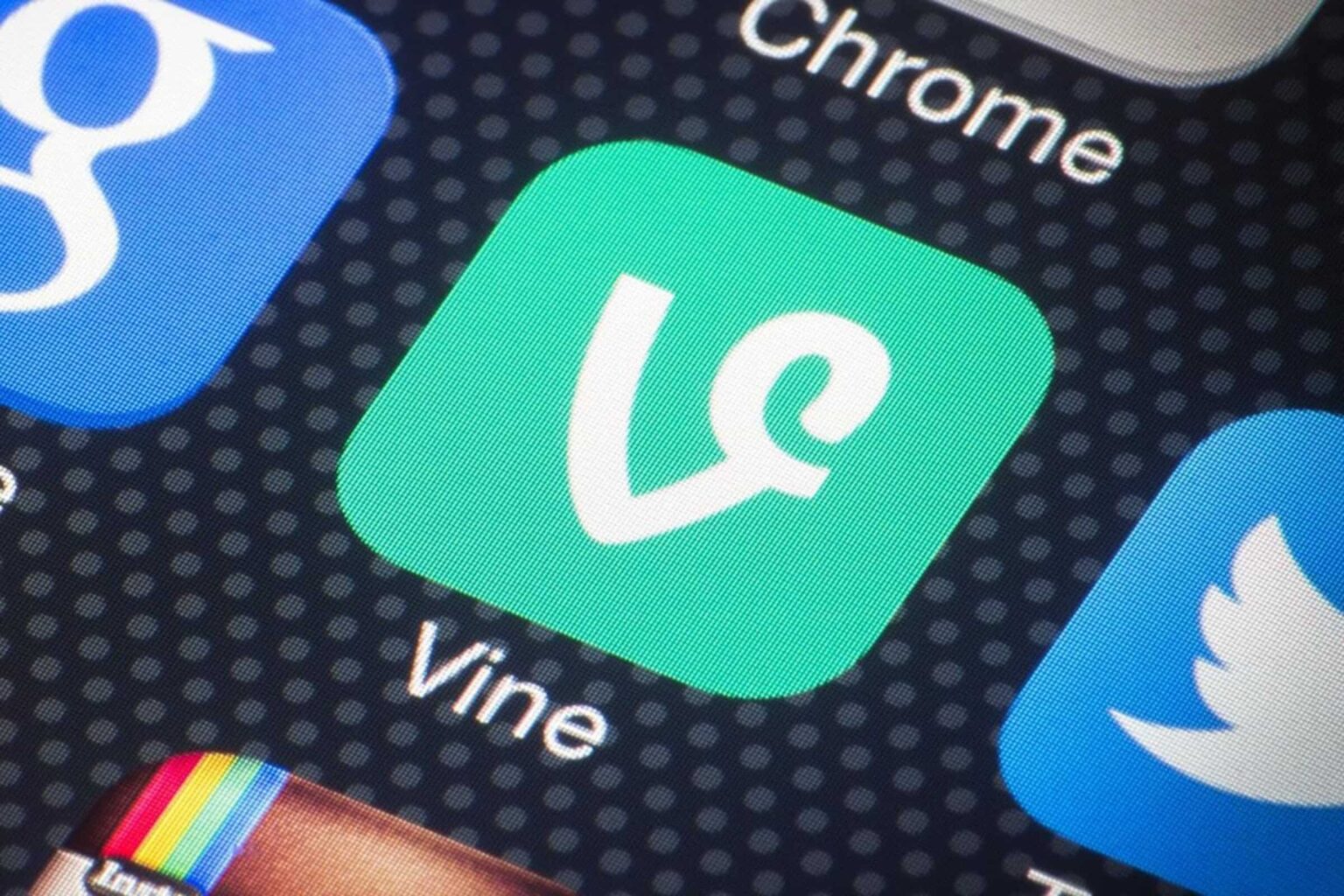 Many of today’s creators still mourn the loss of the Vine app. If you're one of them – watch these hilarious TikToks instead!