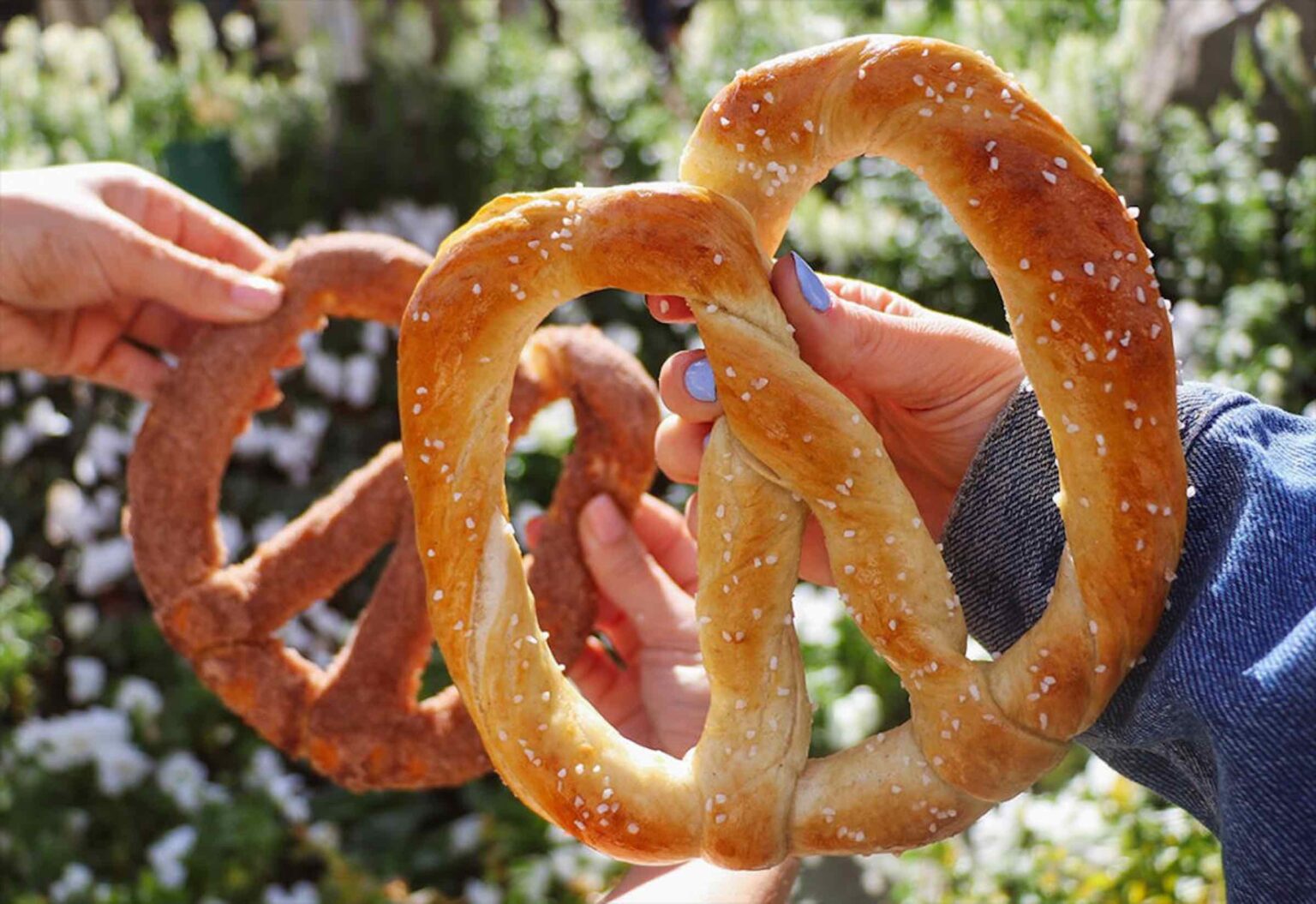 Excited for National Pretzel Day today? Grab your yeast and dive into the best easy pretzel recipes to help you celebrate!