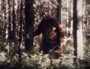 Is Bigfoot a serial killer? Preview the Hulu documentary that follows three grisly murders which could have been done in this hairy cryptid's name.